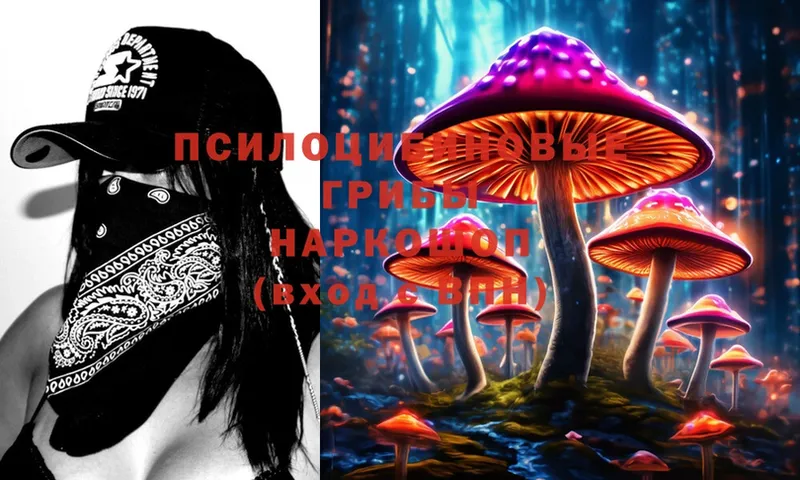 Псилоцибиновые грибы Psilocybe  Верхняя Пышма 